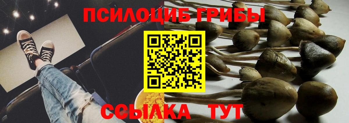 Галлюциногенные грибы Cubensis Фрязино