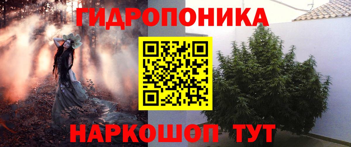 Каннабис план  Марихуана SATIVA & INDICA  Вход с VPN  Фрязино  Канабис SATIVA & INDICA 